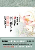 火爆丫鬟：杠上腹黑少爷