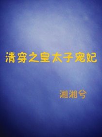 清穿之皇太子宠妃
