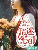 職場風雲：情迷女上司