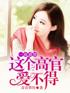 《一夜錯情:這個高官隘不得》
