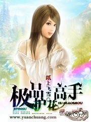 極品護花高手