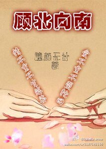 顾北向南