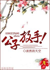 公子放手