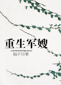重生军嫂