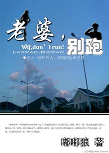 老婆，别跑（军旅高干）
