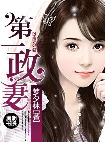 第一政妻（高干宠文）