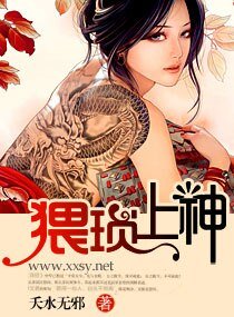 《上神,请捡起节操-猥琐上神》