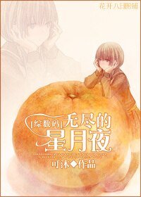 （综数码同人）无尽的星月夜