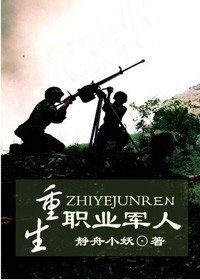 《重生职业军人(续)》