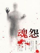 魂怨