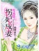 鸾凤错：拐妃成妻