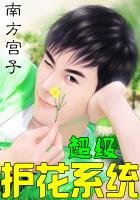 《超級護花系統》