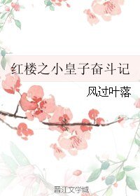 （红楼同人）红楼之小皇子奋斗记