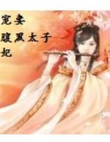 宠妻：腹黑太子妃