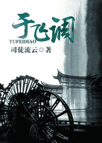 于飞调