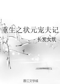 《重生之状元宠夫记》