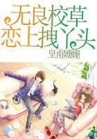 扑街殿下拽丫头