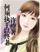 《何须执手以终老》