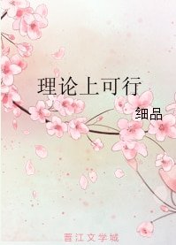 《理论上可行》