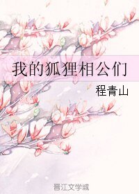 《我的狐狸相公们》