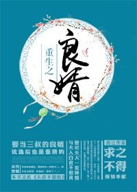 《重生之良婿》