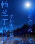 帕兰丁传说昏黄的黎明