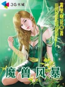 魔兽风暴/魔兽风云