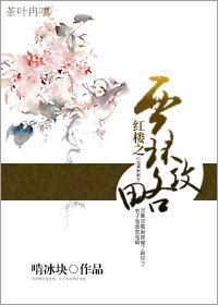 （红楼同人）红楼之贾环攻略