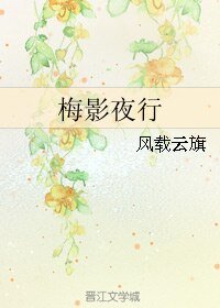 梅影夜行