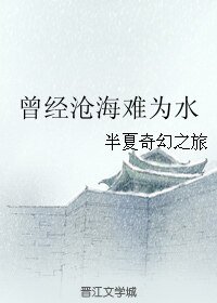 （血滴子同人）曾经沧海难为水