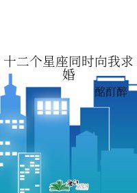 《十二个星座同时向我求婚》