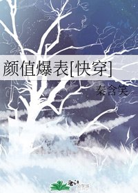 颜值爆表（快穿）