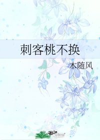 刺客桃不换