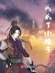 《一觉醒来我成了小桂子》