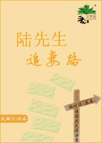 陸先生追妻路