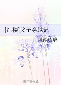 （红楼同人）[红楼]父子穿越记