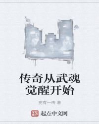 《傳奇從武魂覺醒開始》