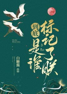 《到底是誰標記了朕》