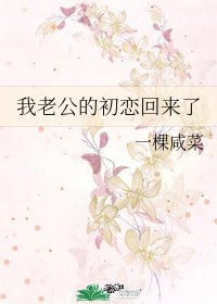 我老公的初恋回来了