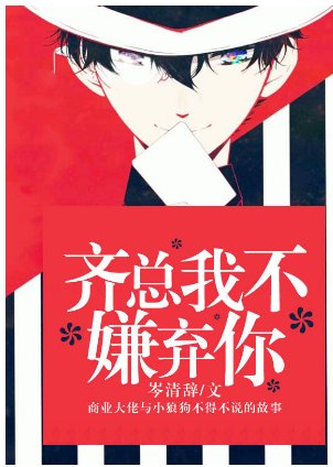 齐总我不嫌弃你