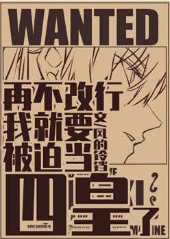 《(綜漫同人)再不改行我就要被迫當四皇了》