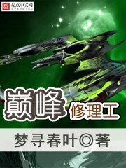 巔峯修理工