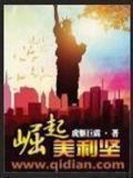 《崛起美利坚》