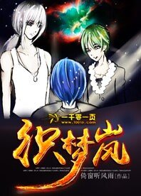 《织梦岚》