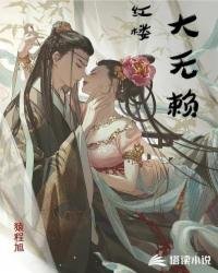 《红楼大无赖》