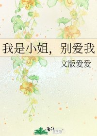 《我是小姐,别爱我》