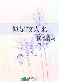 《似是故人来》