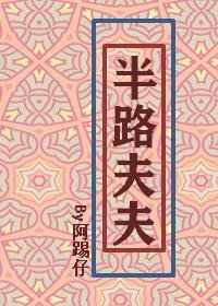《半路夫夫》