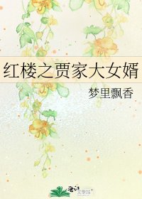 红楼之贾家大女婿