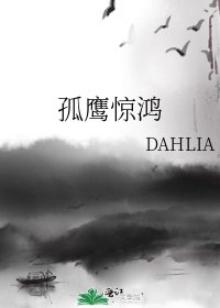 孤鷹驚鴻